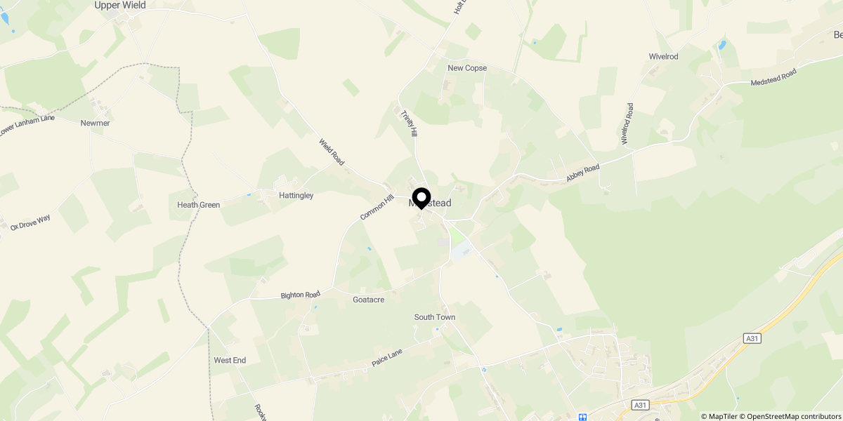 Approximate location of High Street, Medstead, Alton, GU34 5LN