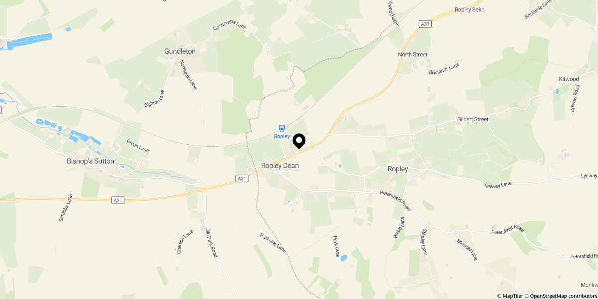 Approximate location of The Dene, Ropley, SO24 0BJ